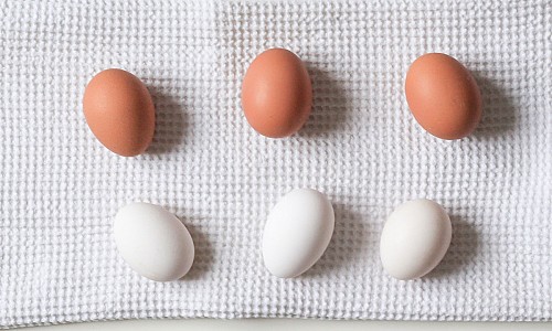 Cage-Free Brown & White Eggs