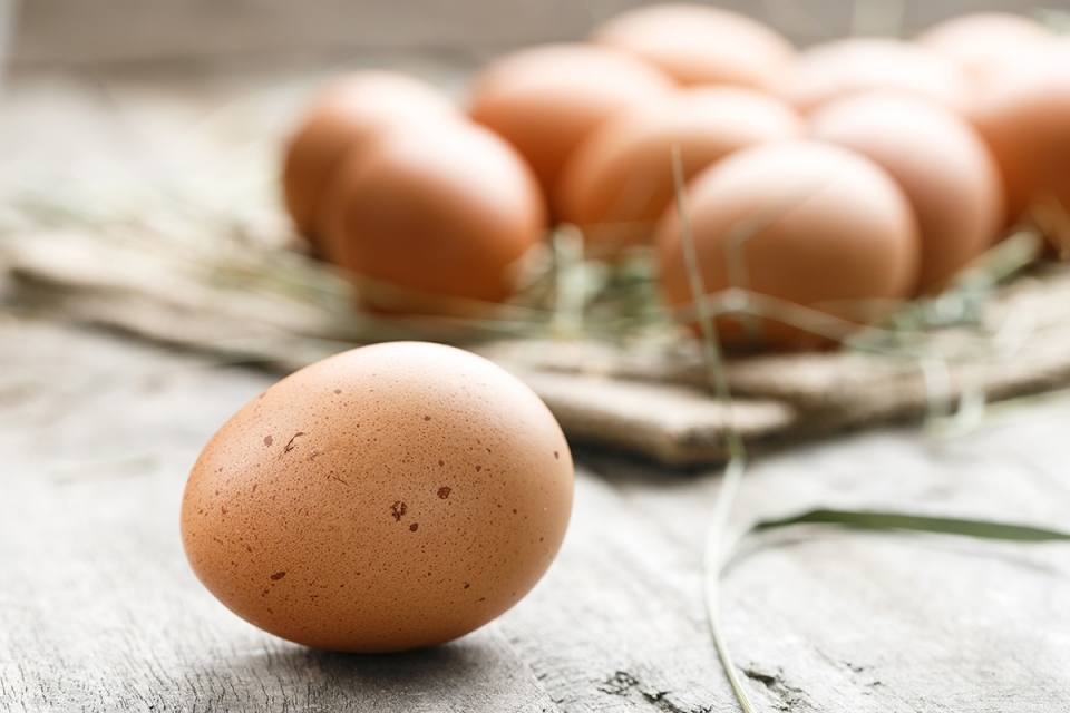 Cage-Free Omega-3 Brown Eggs