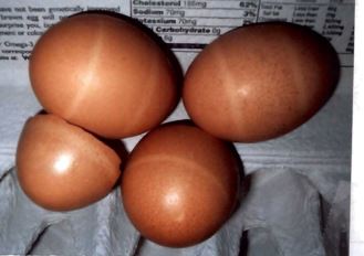Ring on Eggs