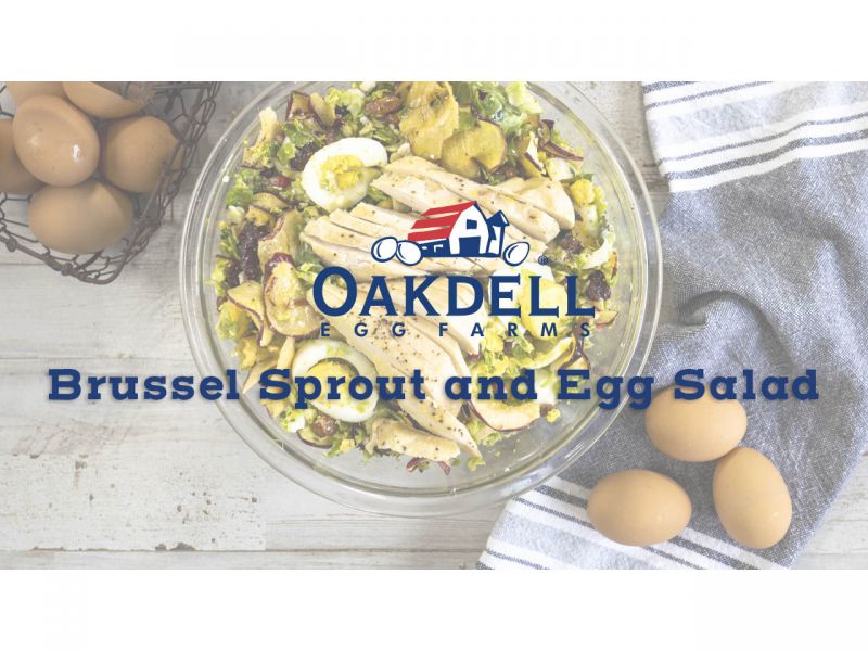 Brussel Sprout and Egg Salad