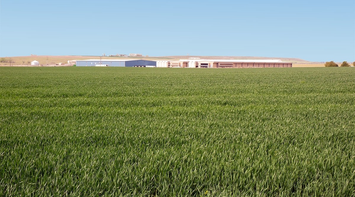 Photo of green open field