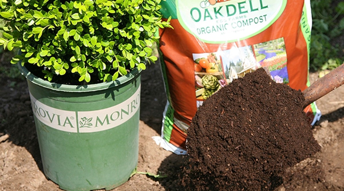 Image of Oakdell Organic Compost bag