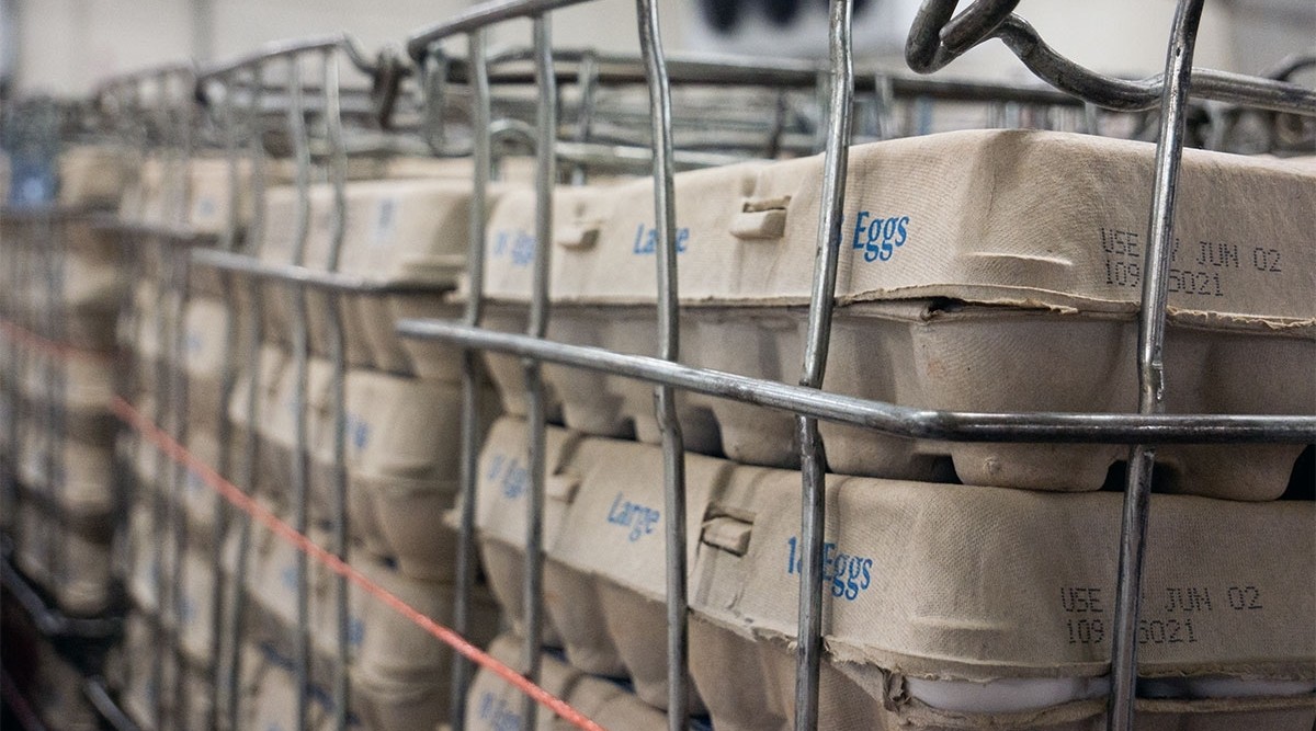 Cases of eggs in cartons