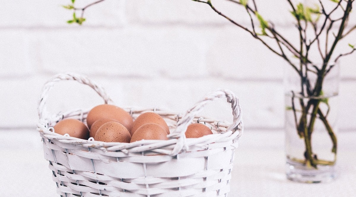 Oakdell Egg Farms - Certifications & Associations