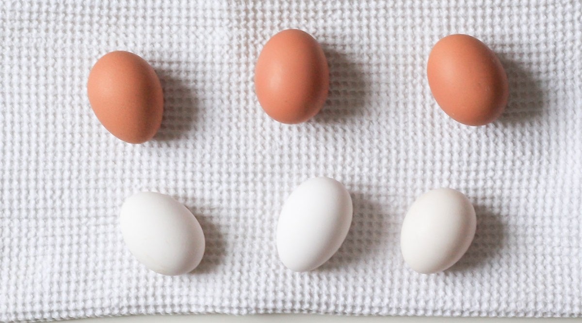 Photo of brown and white eggs