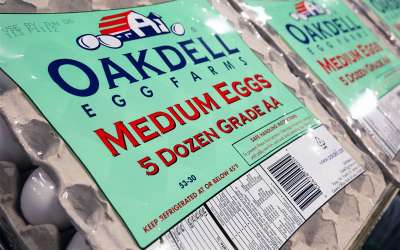 Photo of Oakdell Medium Eggs