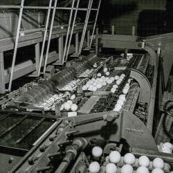 Egg processing machine