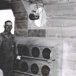 Cecil Woodward in the coop